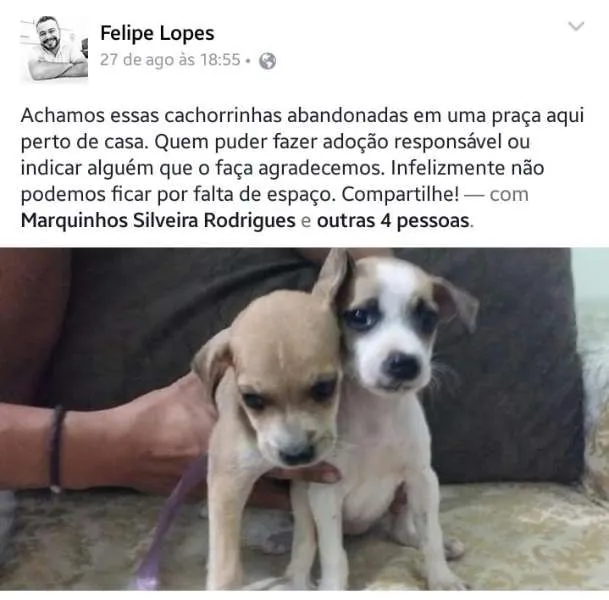 Cachorro ra a SRD idade Abaixo de 2 meses nome SEM NOME