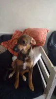 Bob