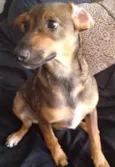Bob