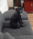 NINA