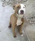 nick