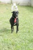 BRUNINHO - Um anjinho!