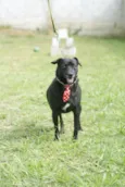 BRUNINHO - Um anjinho!