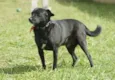 BRUNINHO - Um anjinho!