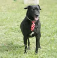 BRUNINHO - Um anjinho!