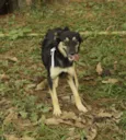 MILADY - Uma fofura!