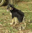 MILADY - Uma fofura!