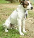 BOX - Uma gracinha!