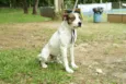 BOX - Uma gracinha!