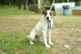 BOX - Uma gracinha!
