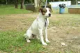 BOX - Uma gracinha!