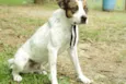 BOX - Uma gracinha!