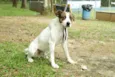 BOX - Uma gracinha!