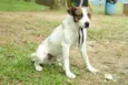 BOX - Uma gracinha!