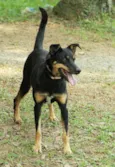 ABIGAIL - Doce menina!