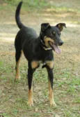 ABIGAIL - Doce menina!