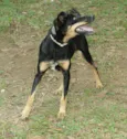 ABIGAIL - Doce menina!