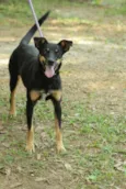 ABIGAIL - Doce menina!