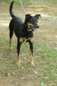 ABIGAIL - Doce menina!
