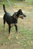 ABIGAIL - Doce menina!