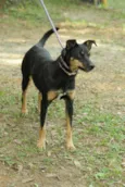ABIGAIL - Doce menina!