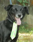 CHAPLIN - Fofíssimo!