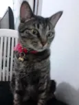 Nina