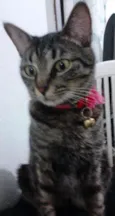 Nina