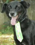 CHAPLIN - Fofíssimo!