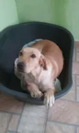Mel