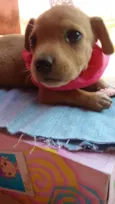 nao possui nome ainda