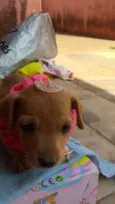 nao possui nome ainda