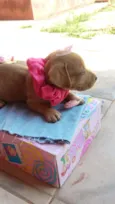 nao possui nome ainda