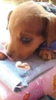 nao possui nome ainda