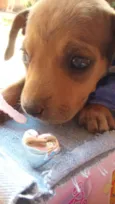 nao possui nome ainda