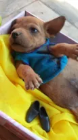 nao possui nome ainda
