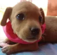 nao possui nome ainda