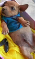 nao possui nome ainda