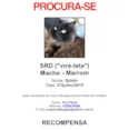 Salém