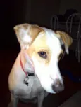 Lola