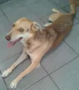 Mel
