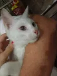 Percy