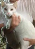 Yakko
