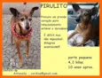 PIRULITO