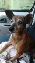 PIRULITO