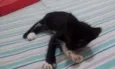 Ainda não tem