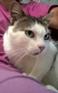 ESMERALDA