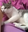 ESMERALDA