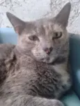 canela