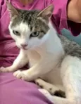 ESMERALDA